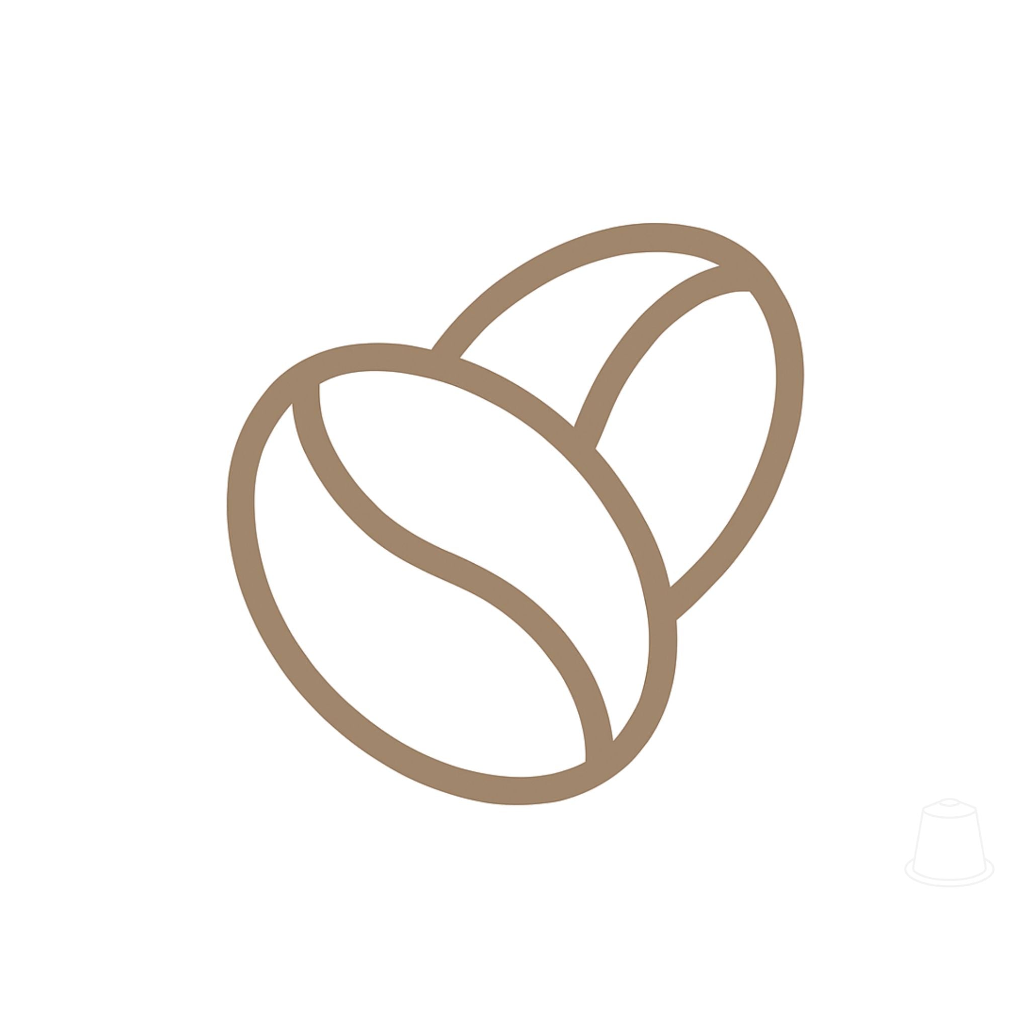 Garden State Coffee Beans – Premium Whole Bean Coffee for a Rich & Smooth Brew, a high-quality blend of carefully selected Arabica and Robusta beans, roasted to perfection great coffee experience. 