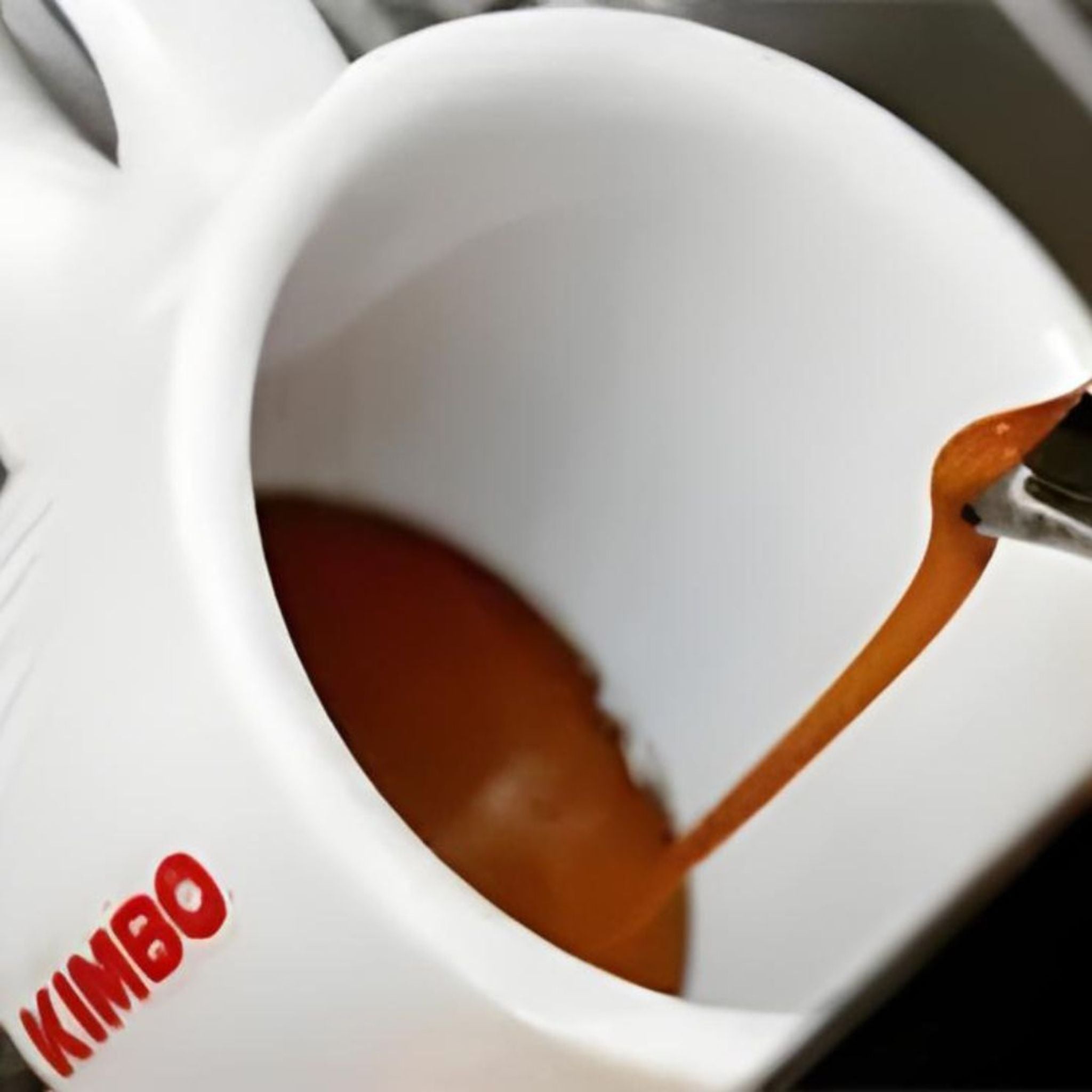 Kimbo Filtro 100% Arabica Whole Coffee Beans (1 kg)