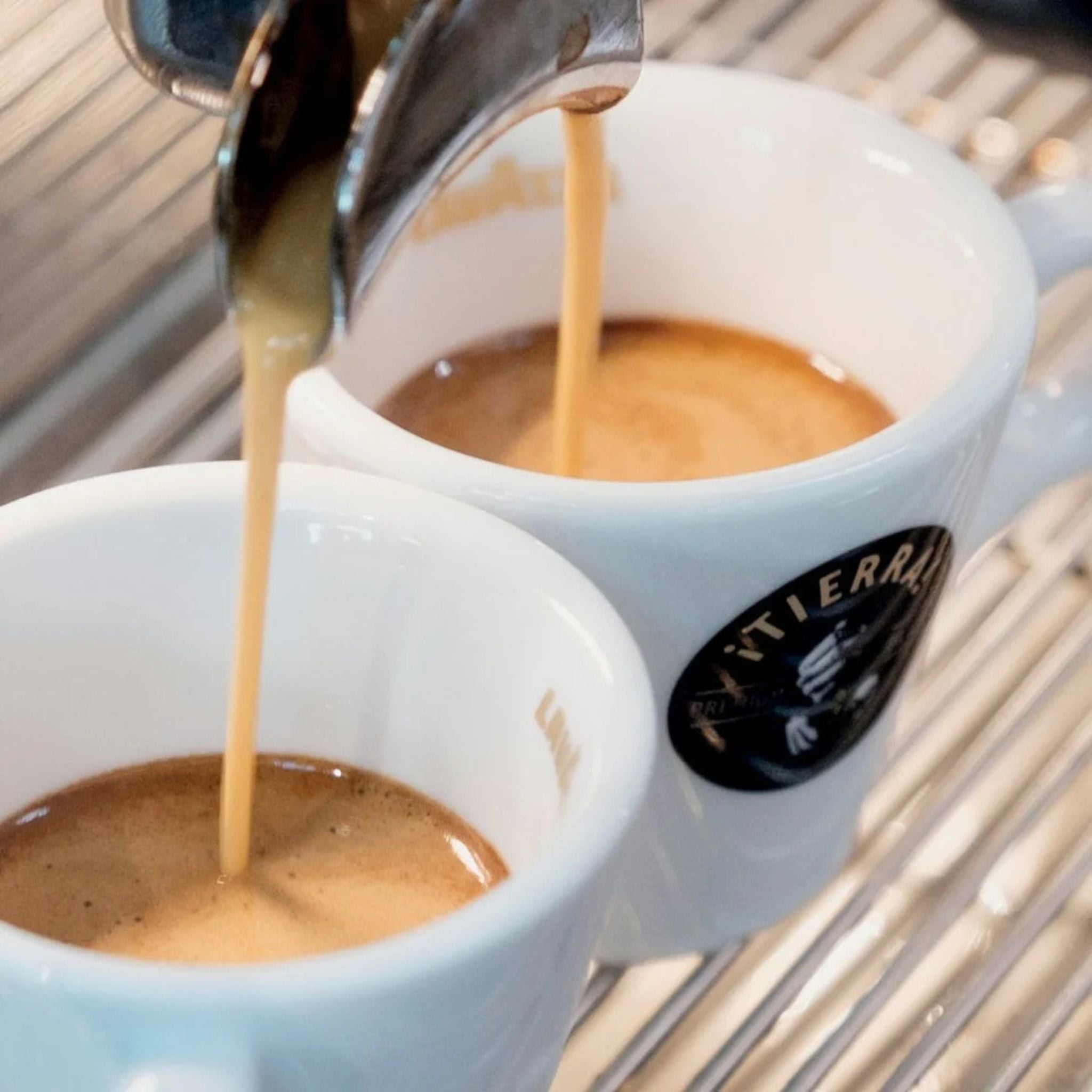 GardenState B2B coffee supplier for offices and businesses in Singapore. Lavazza Tierra, premium Italian Coffee.