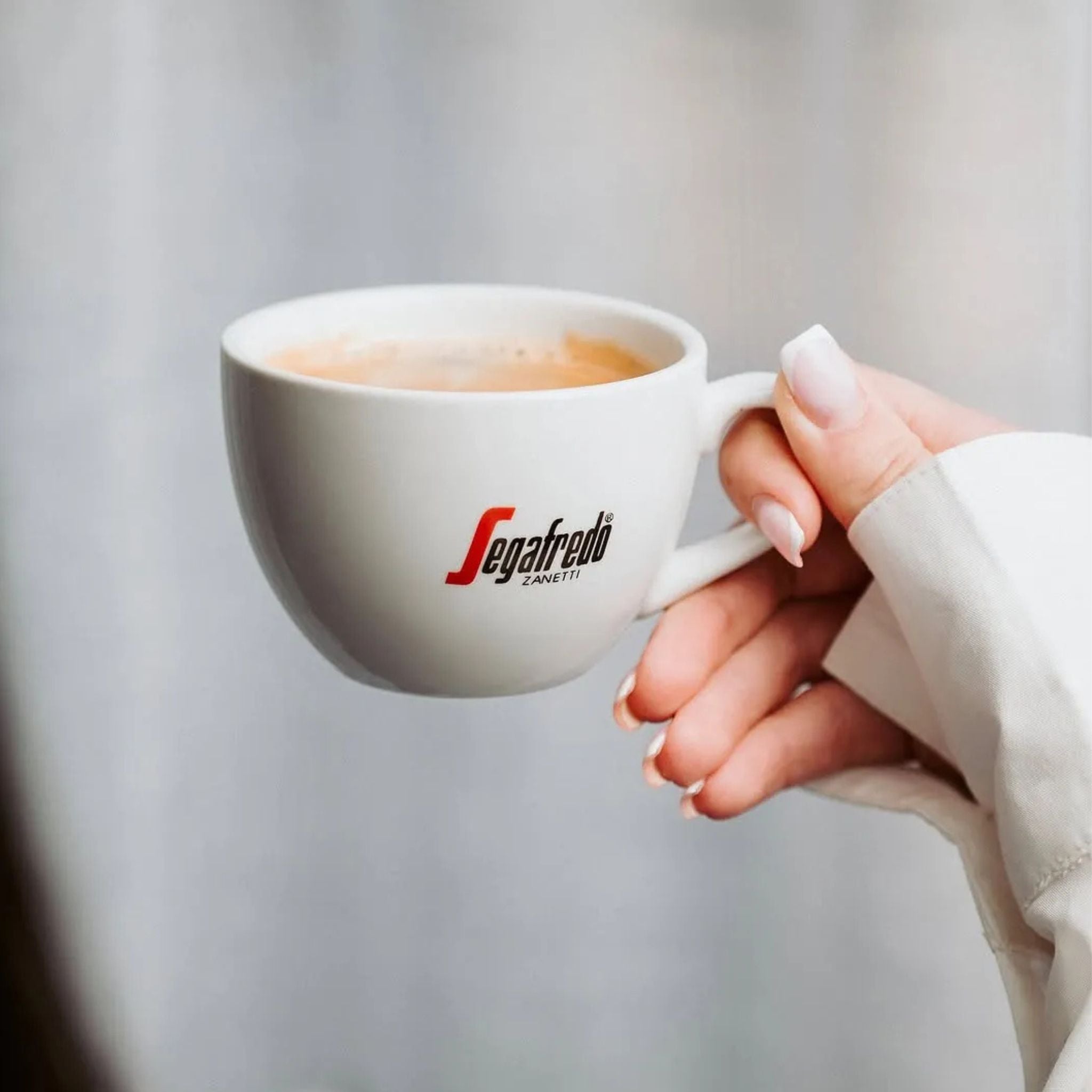 GardenState B2B Coffee Supplier Singapore, Segafredo Zanetti premium Italian coffee, beans, ground coffee and capsules. 